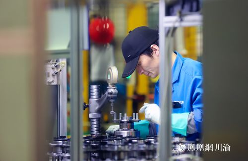 長江軸承 以技術硬實力撬動全球市場縫隙，打造國際化品牌新標桿